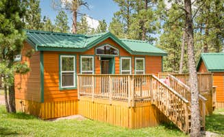 Nathan L.'s photo of a cabin at Mount Rushmore KOA at Palmer Gulch near Blackhawk, SD