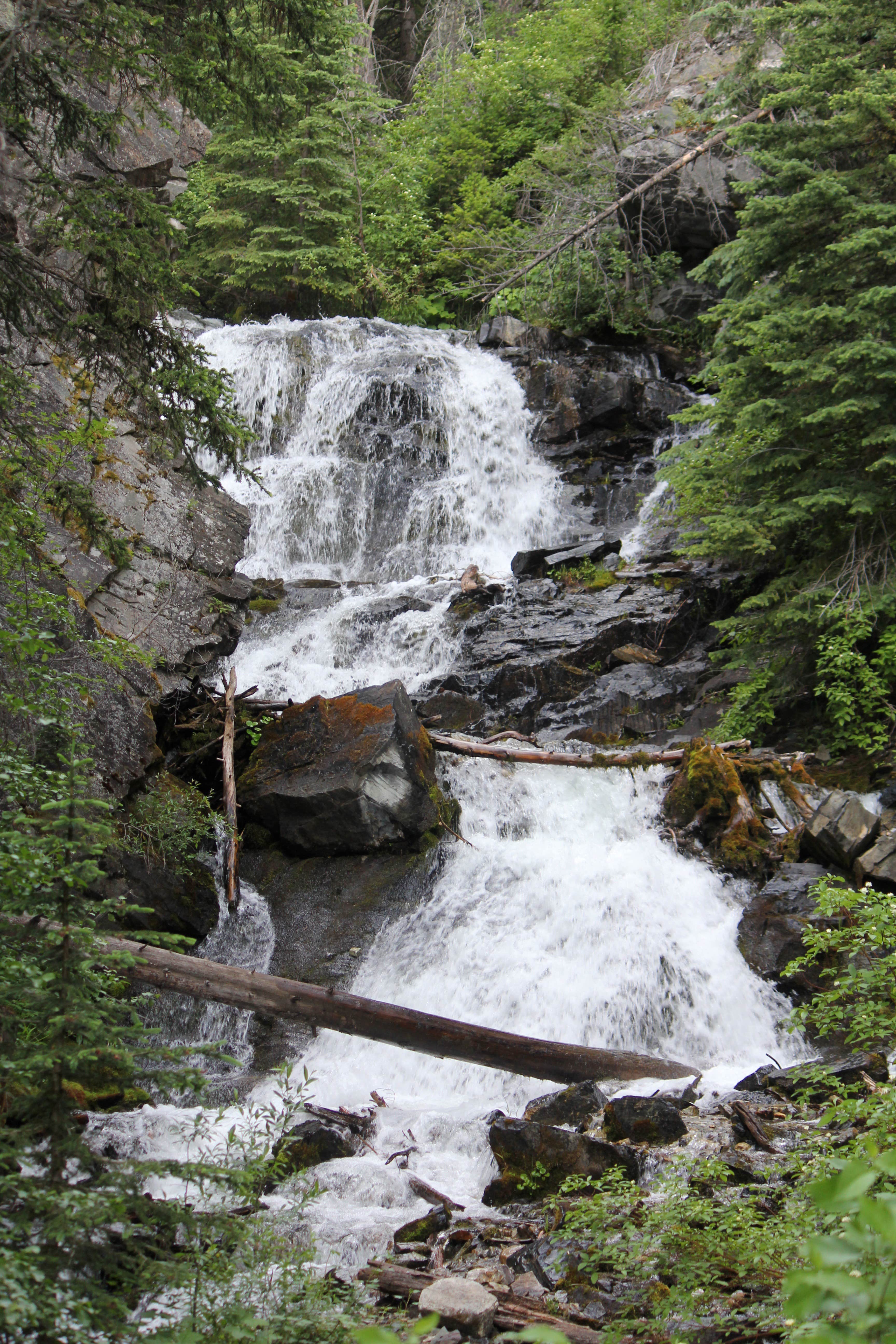Camper submitted image from Lost Creek State Park Campground - 4