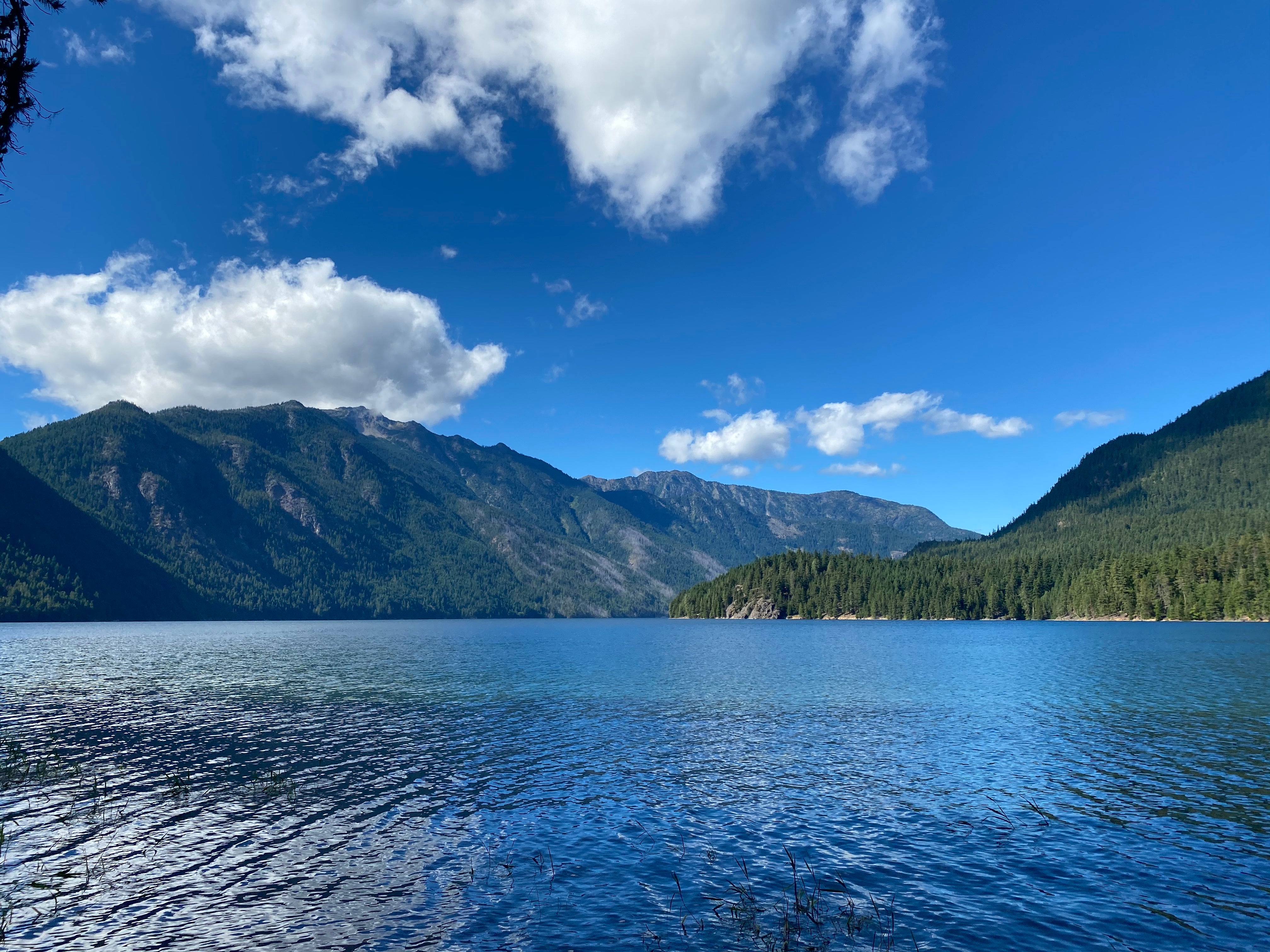 Camper submitted image from Spencers Camp — Ross Lake National Recreation Area - 2