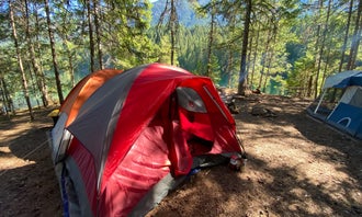 Camping near Cougar Island — Ross Lake National Recreation Area: Spencers Camp — Ross Lake National Recreation Area, North Cascades National Park, Washington