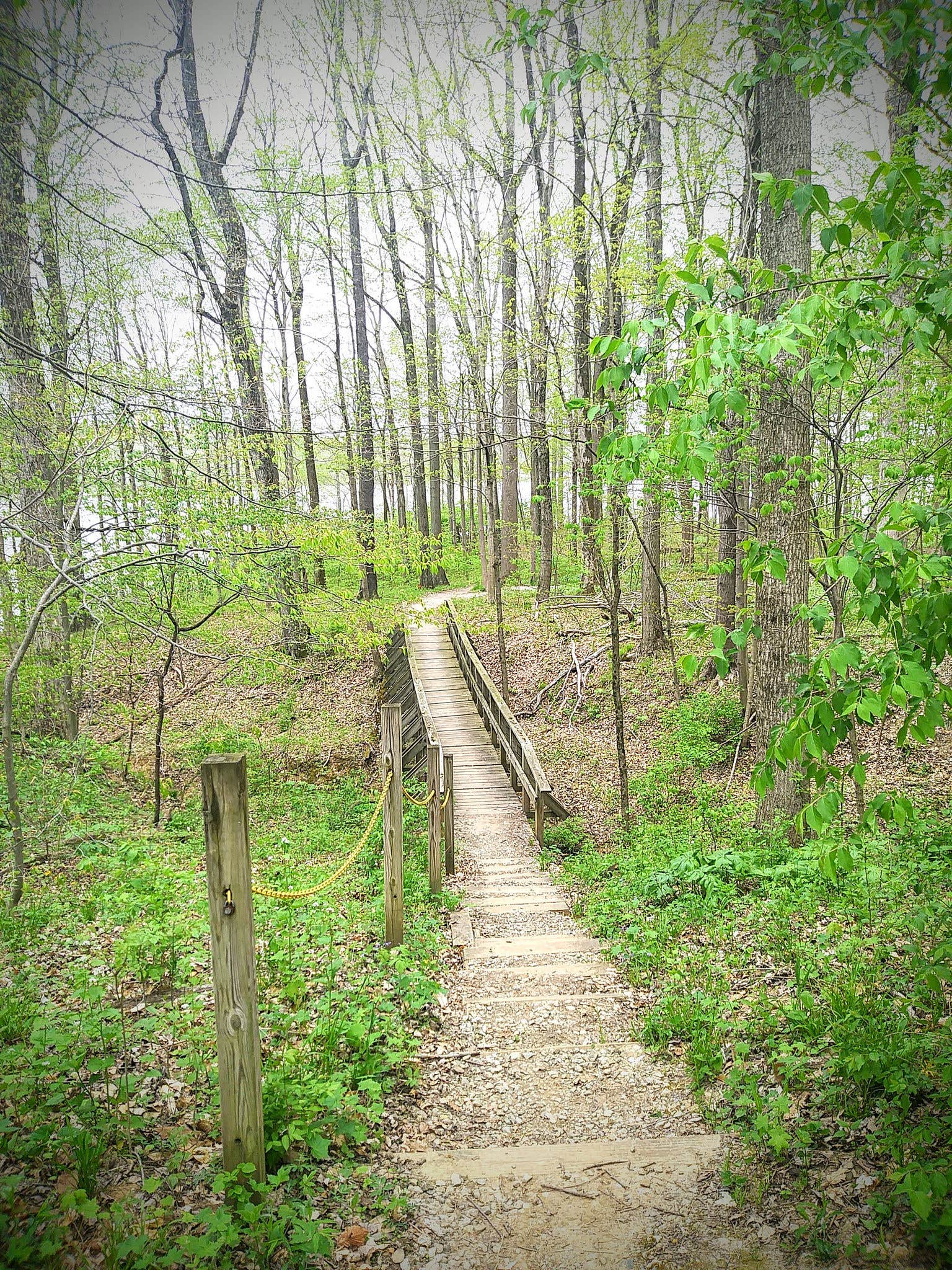 Camper submitted image from Hueston Woods State Park Campground - 3