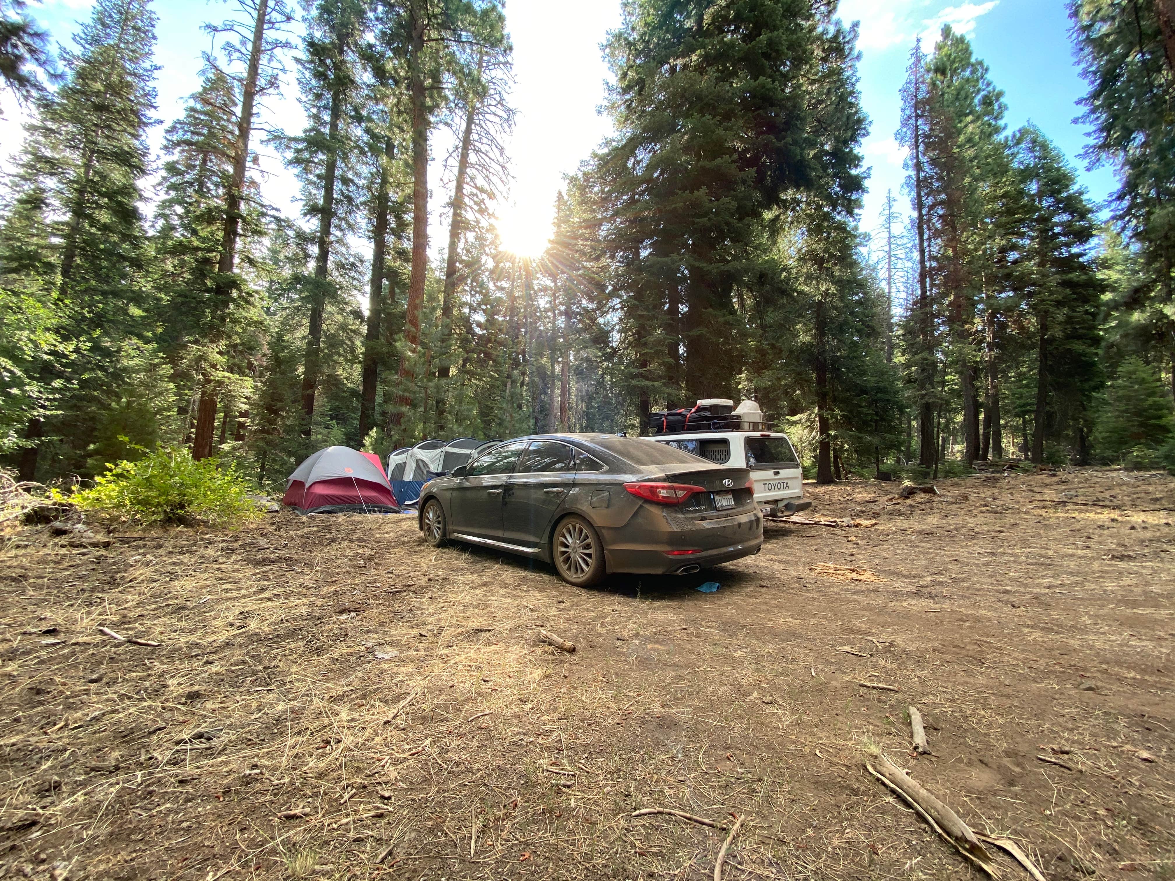 Camping near Goose Lake State Recreation Area: Plum Valley Campground, Davis Creek, California