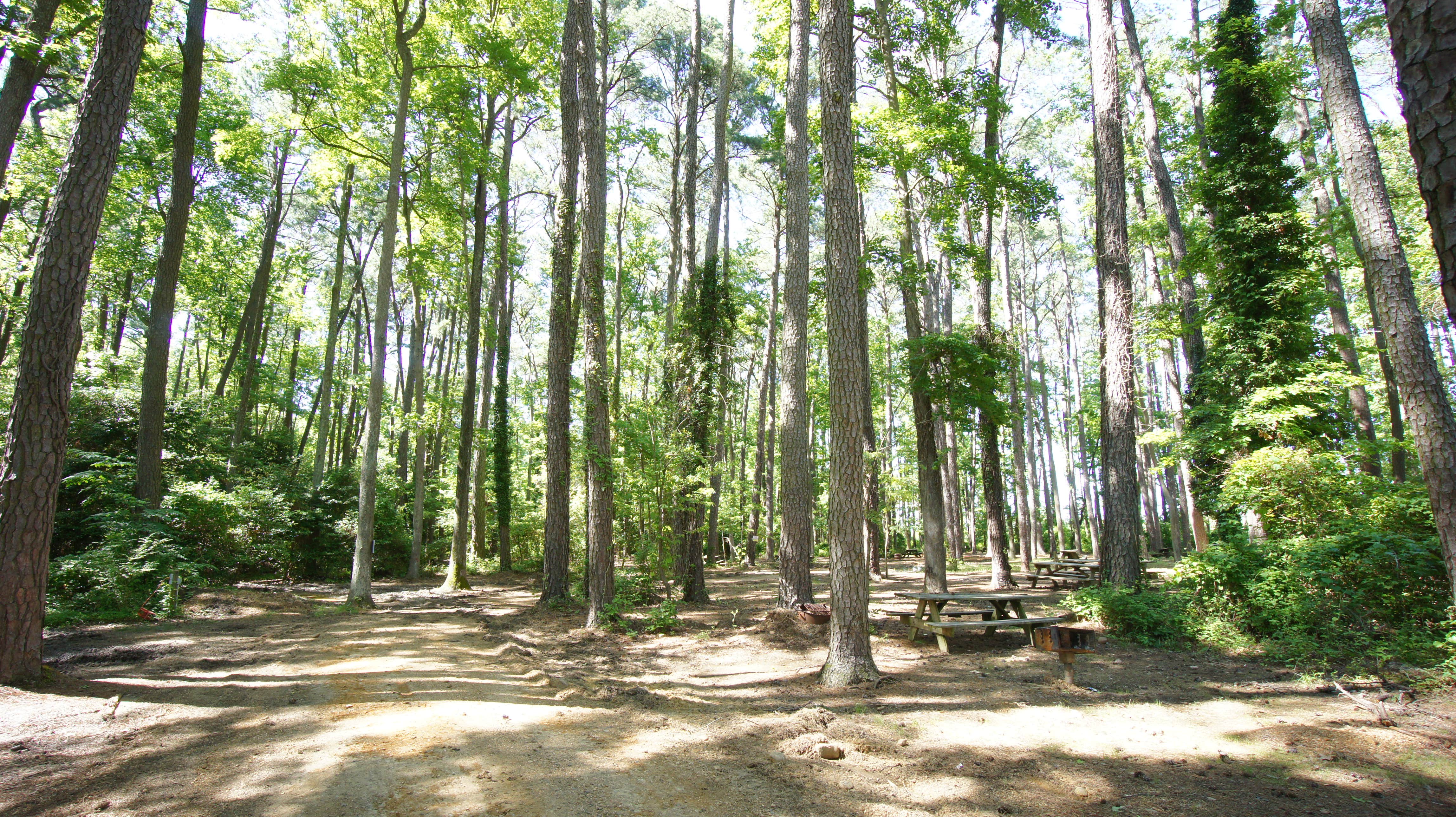 Camper-submitted photo at Camp Merryelande near Callaway, MD