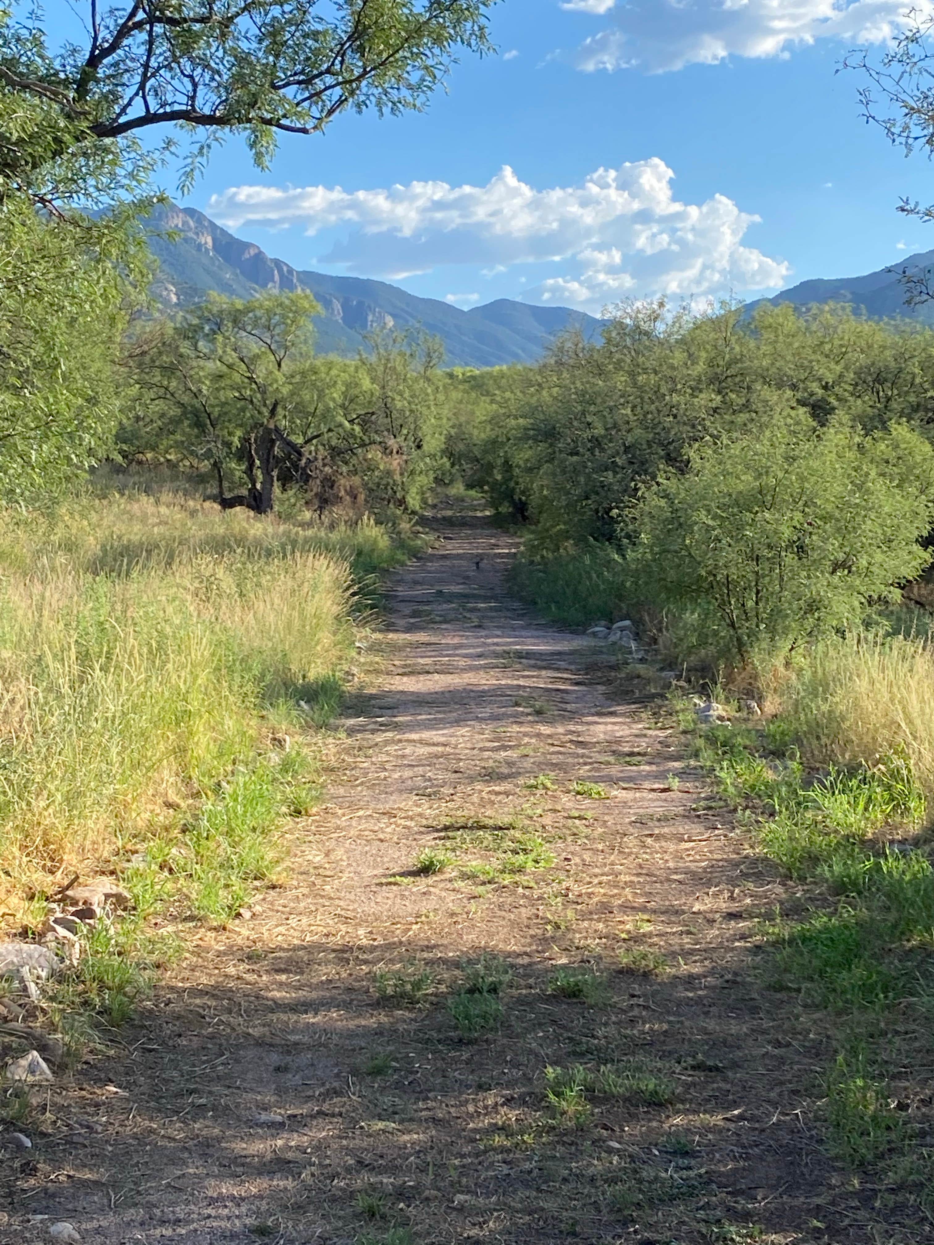 Camping near Quail Ridge RV Resort: Apache Flats RV Resort, Fort Huachuca, Arizona