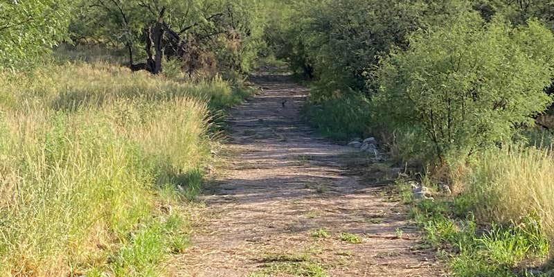 Camper submitted image from Apache Flats RV Resort