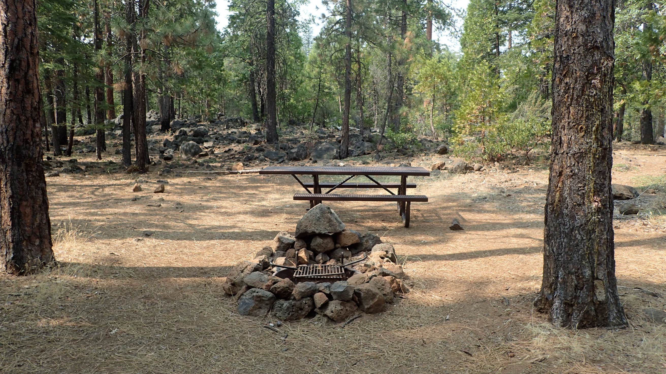 Bridge Campground Camping The Dyrt