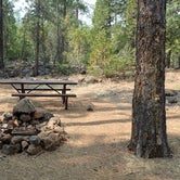 Review photo of Bridge Campground by MarinMaverick , September 9, 2020