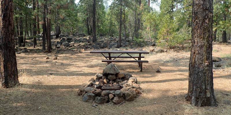 Camper submitted image from Bridge Campground