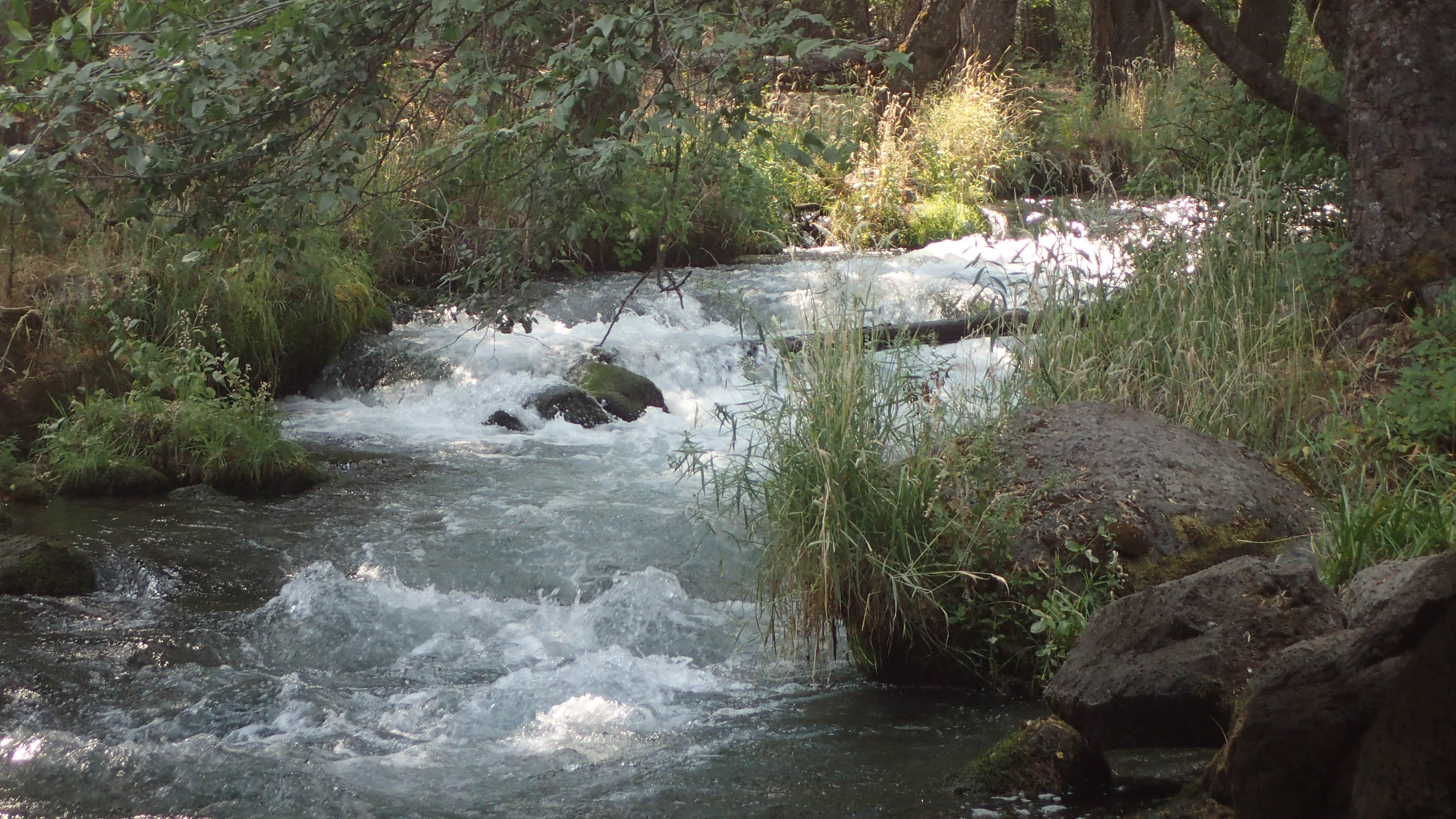 Camper-submitted photo at Bridge Campground near Hat Creek, CA