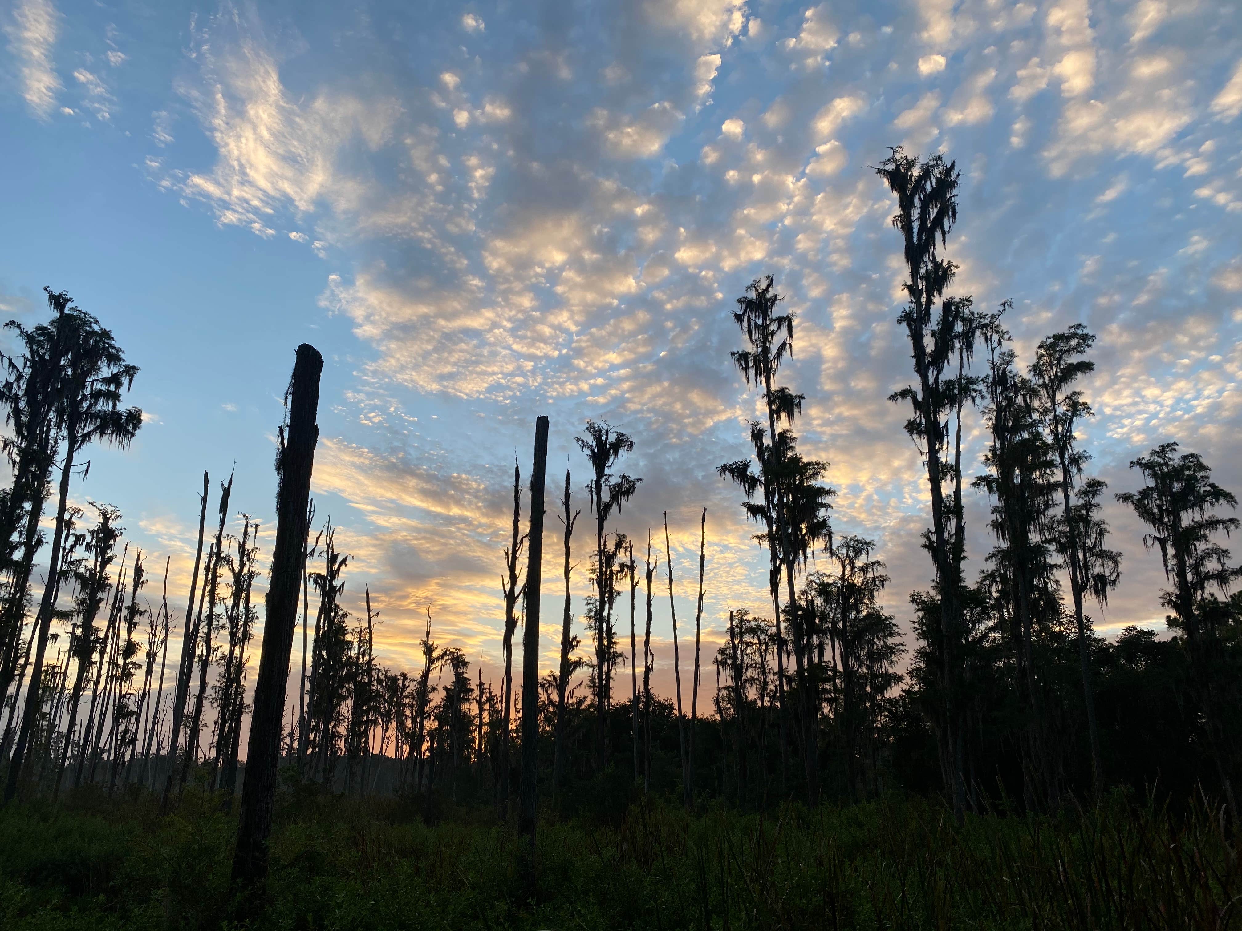 Camper-submitted photo at Lake Park near Tampa, FL