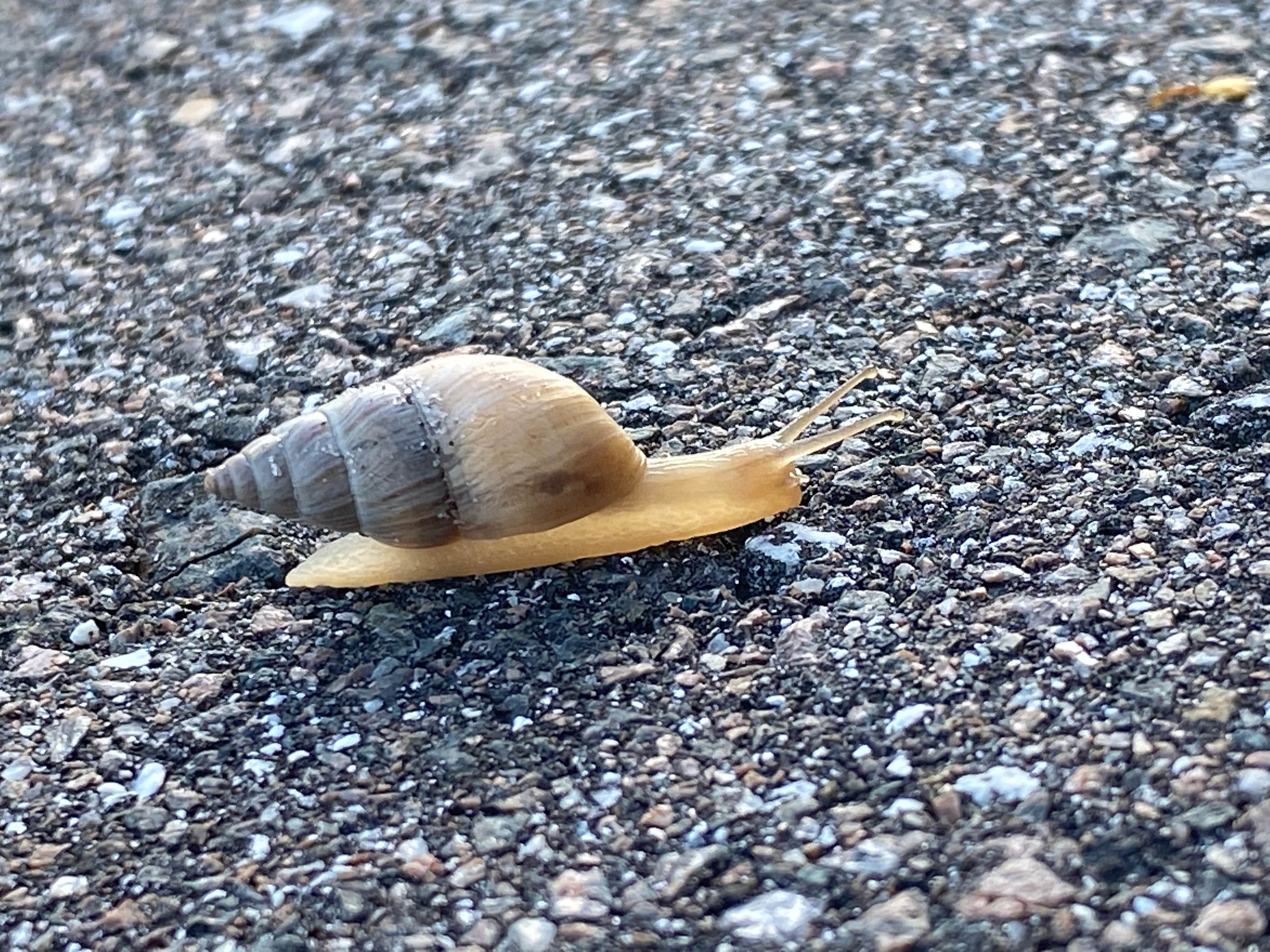 Camper-submitted photo at Lake Park near Tampa, FL