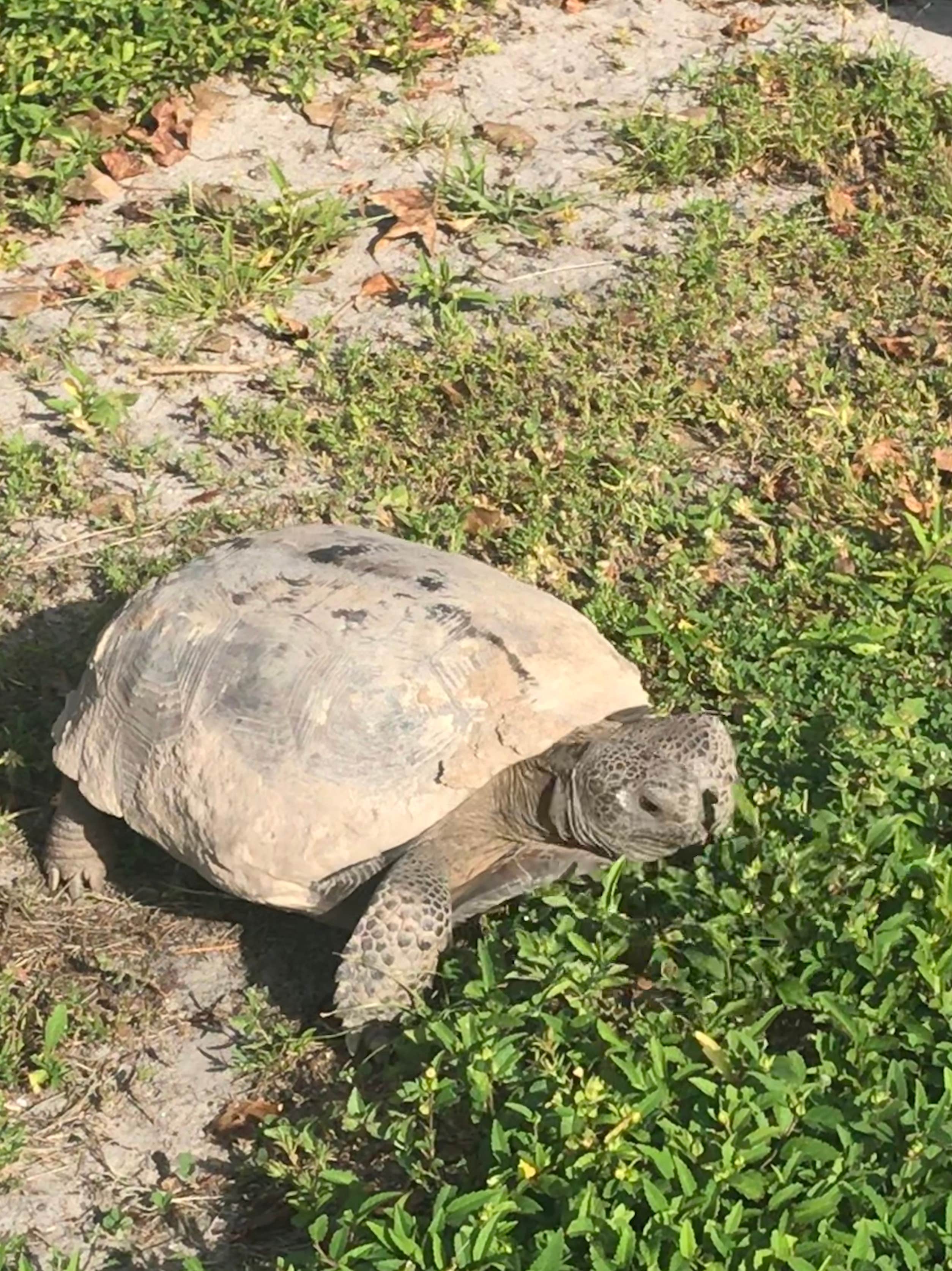 Camper-submitted photo at Lake Park near Tampa, FL