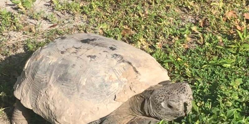 Camper submitted image from Lake Park