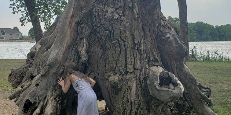 Camper submitted image from Lewis and Clark State Park Campground