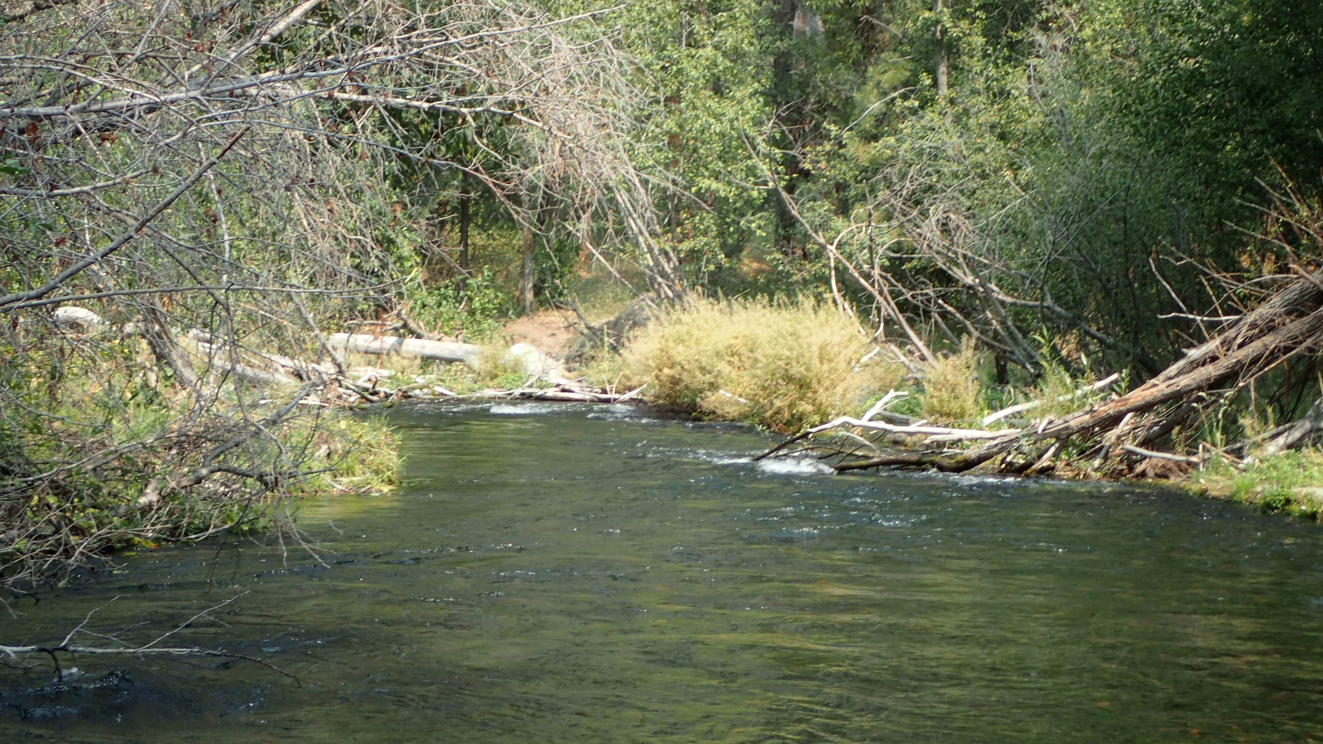 Camper-submitted photo at Cave Campground near Hat Creek, CA