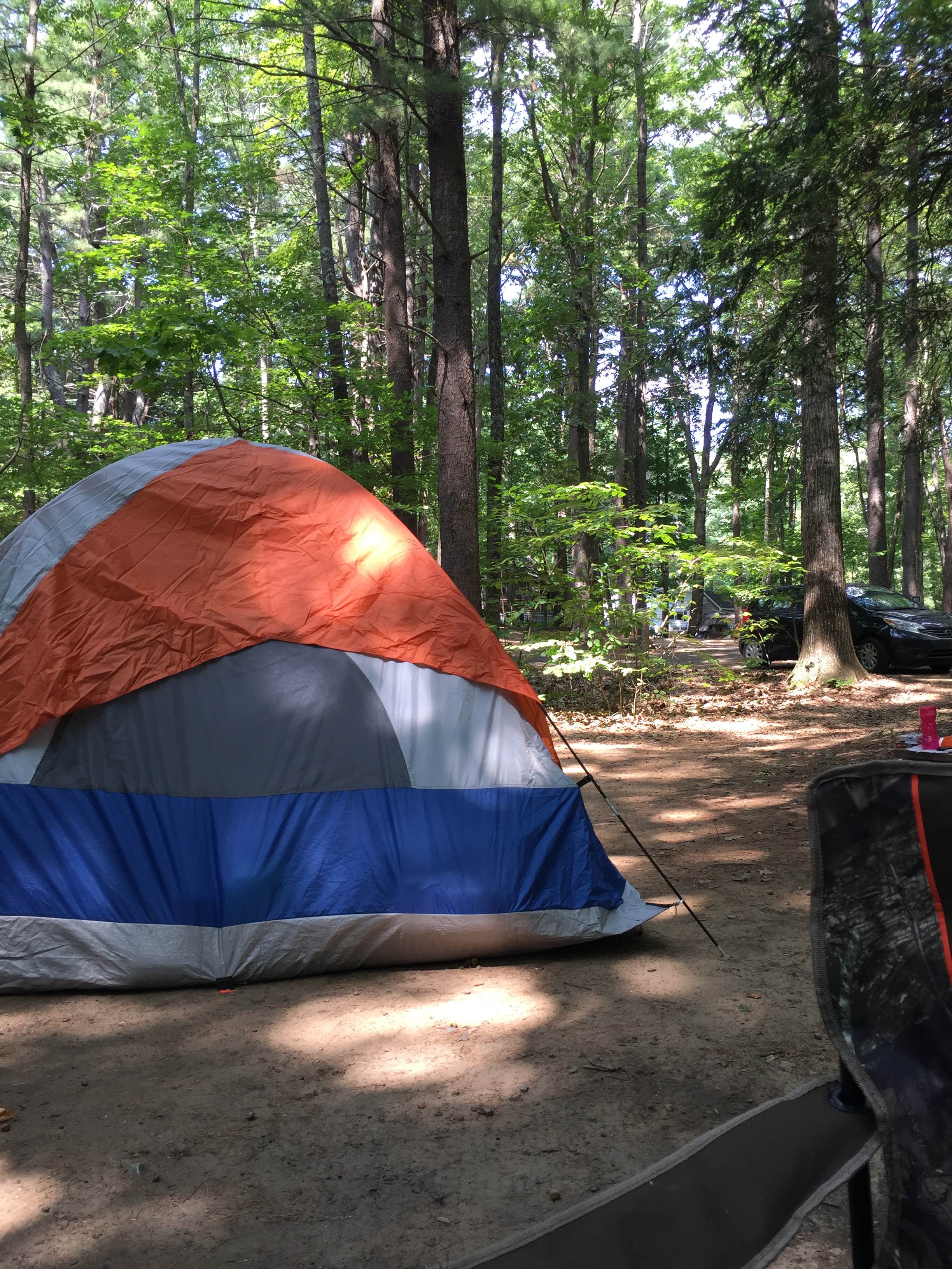 Camper submitted image from Wild Acres Tent & Trailer Park - 2