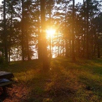 Camper submitted image from Harris Brake Lake - 2