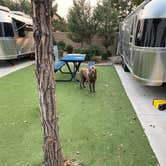 Review photo of Sparks Marina RV Park by Jenny W., September 9, 2020