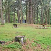 Review photo of Rocky Knob Campground — Blue Ridge Parkway by Shannon M., September 9, 2020