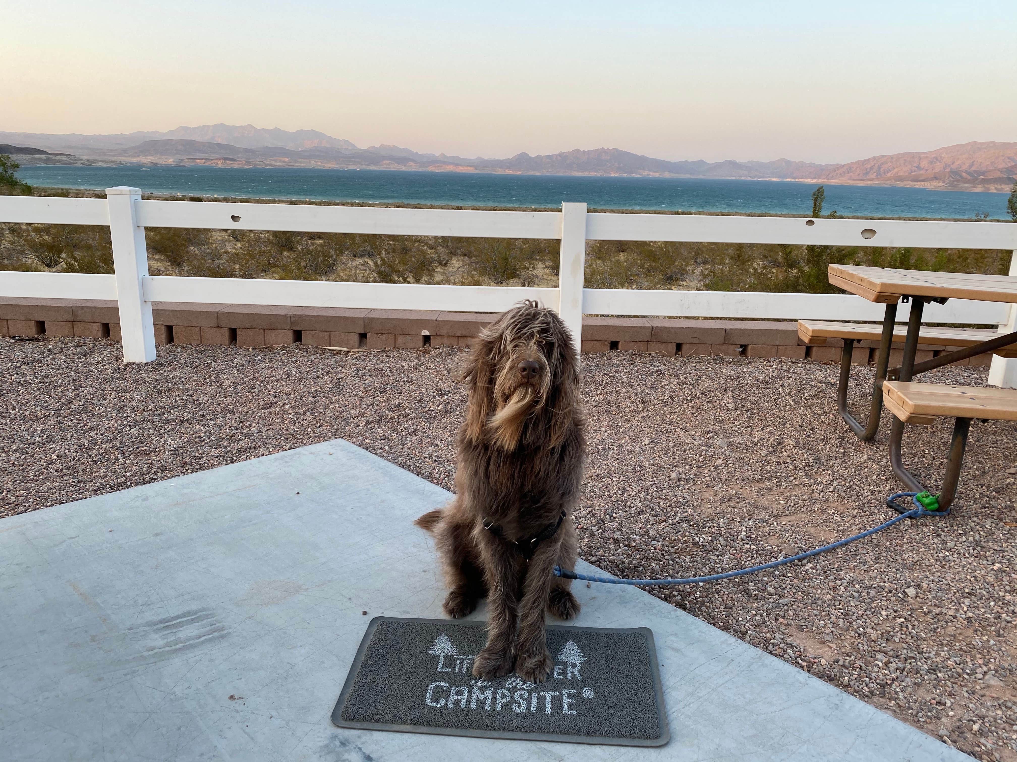 Camper-submitted photo at Lake Mead RV Village — Lake Mead National Recreation Area near Jean, NV