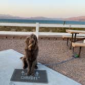 Review photo of Lake Mead RV Village — Lake Mead National Recreation Area by Jenny W., September 9, 2020