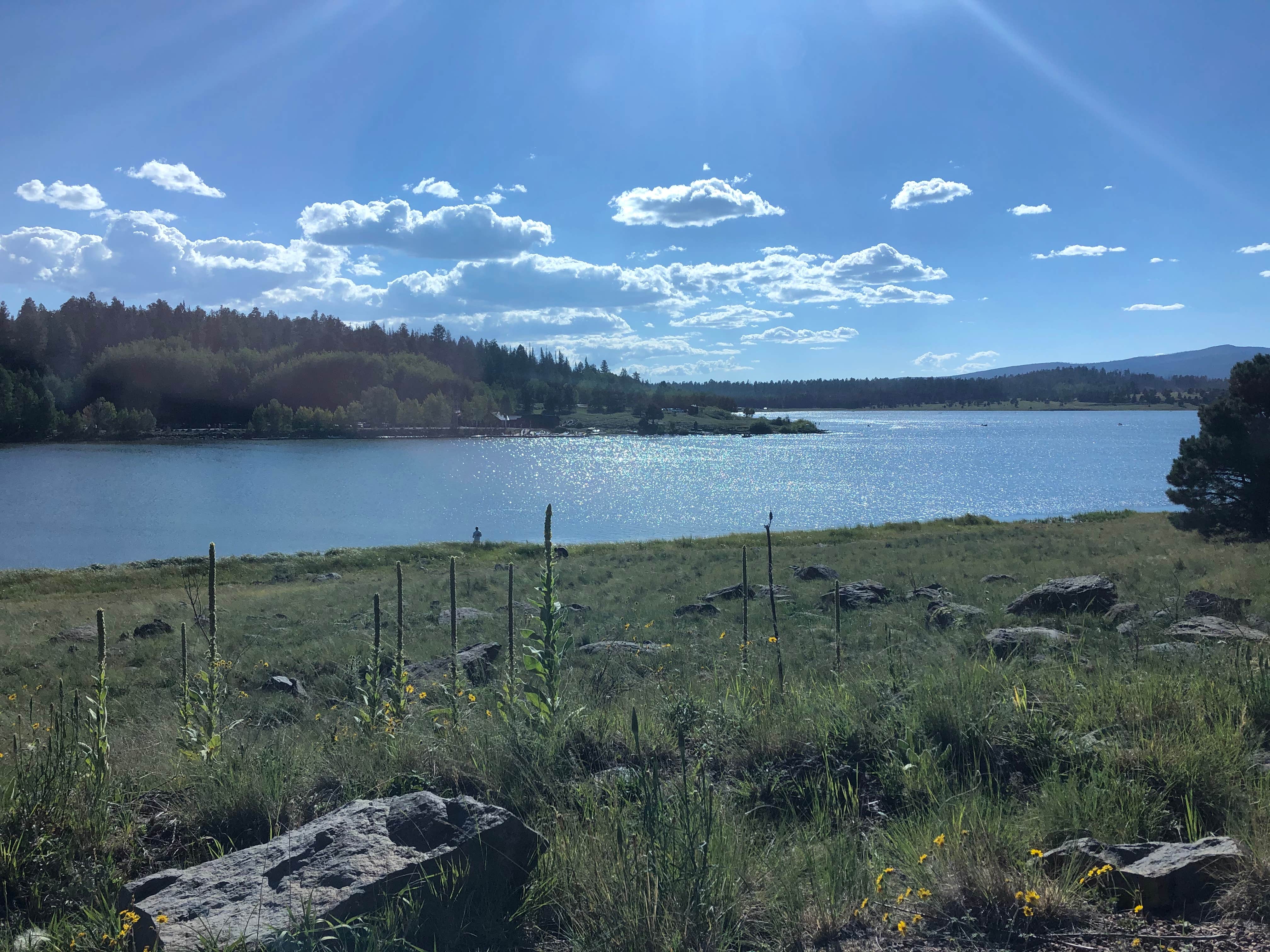 Big Lake Recreation Area The Dyrt