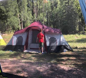 Camper-submitted photo from Lower Log Road Apache Indian Res