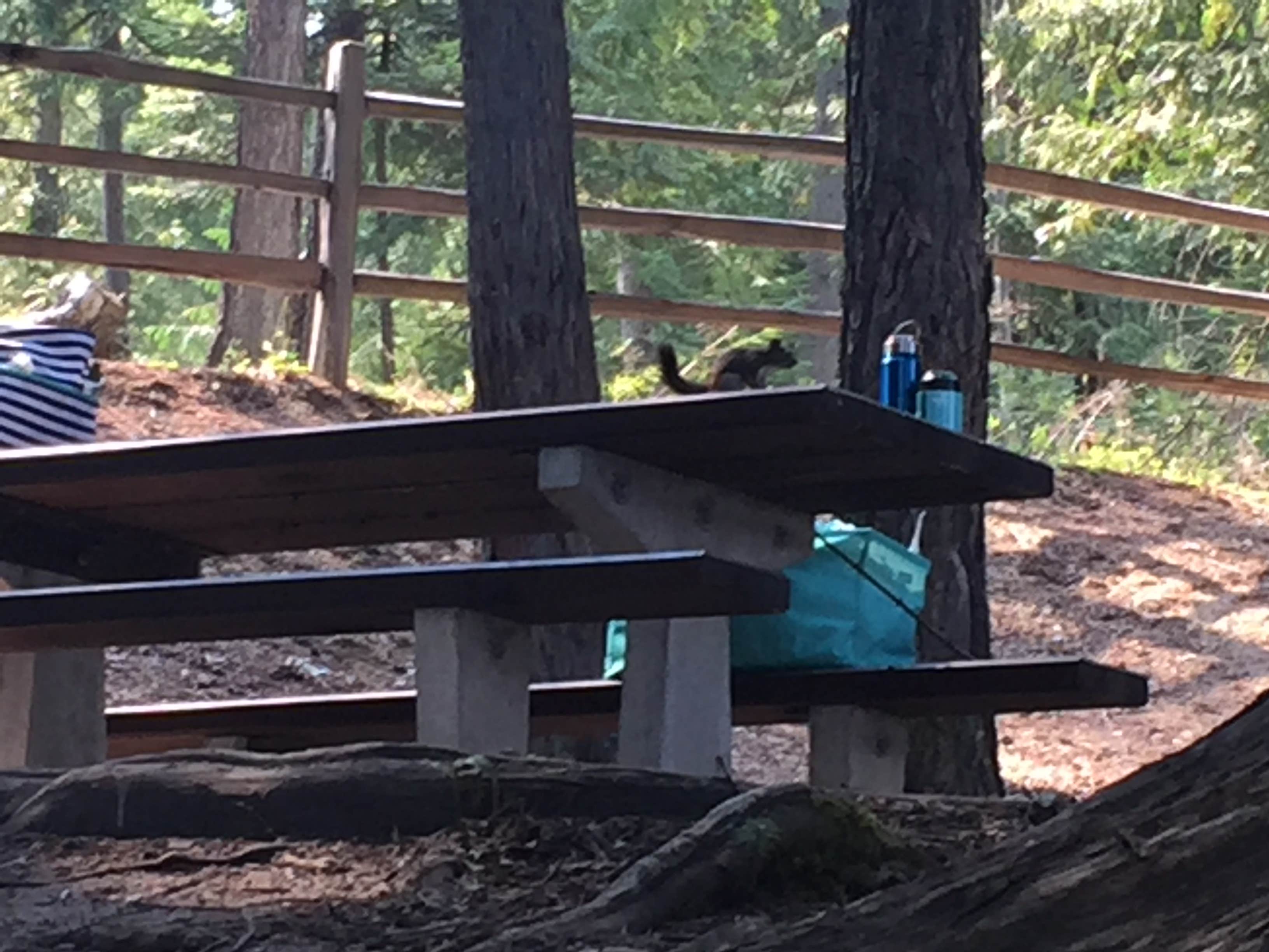 Camper-submitted photo at Outlet Campground near Athol, ID