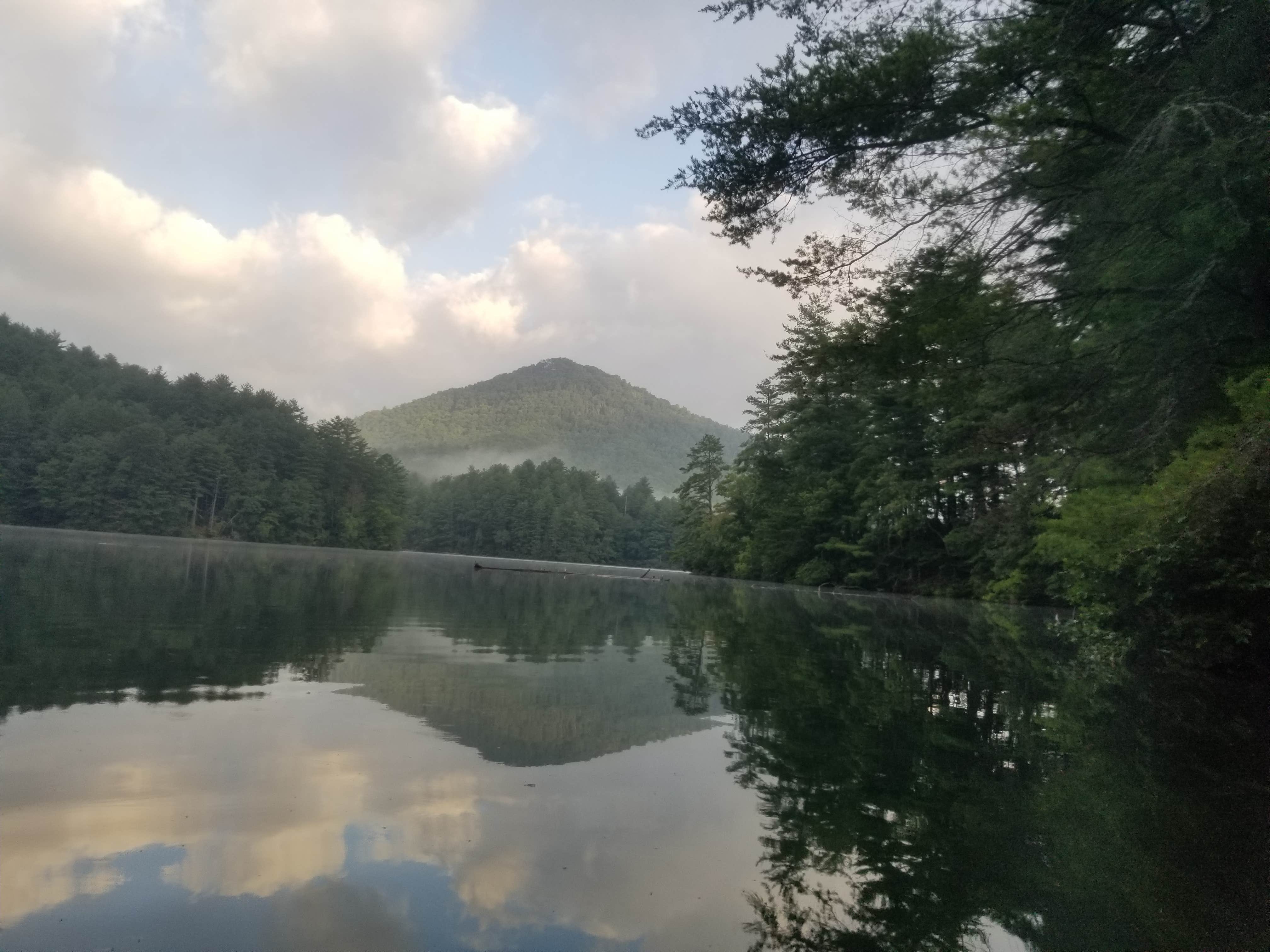 Jennifer R.'s photo of a dispersed camping area at Lake Santeetlah Dispersed near Loudon, TN