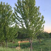 Review photo of Creekwood Acres by Janet R., September 9, 2020