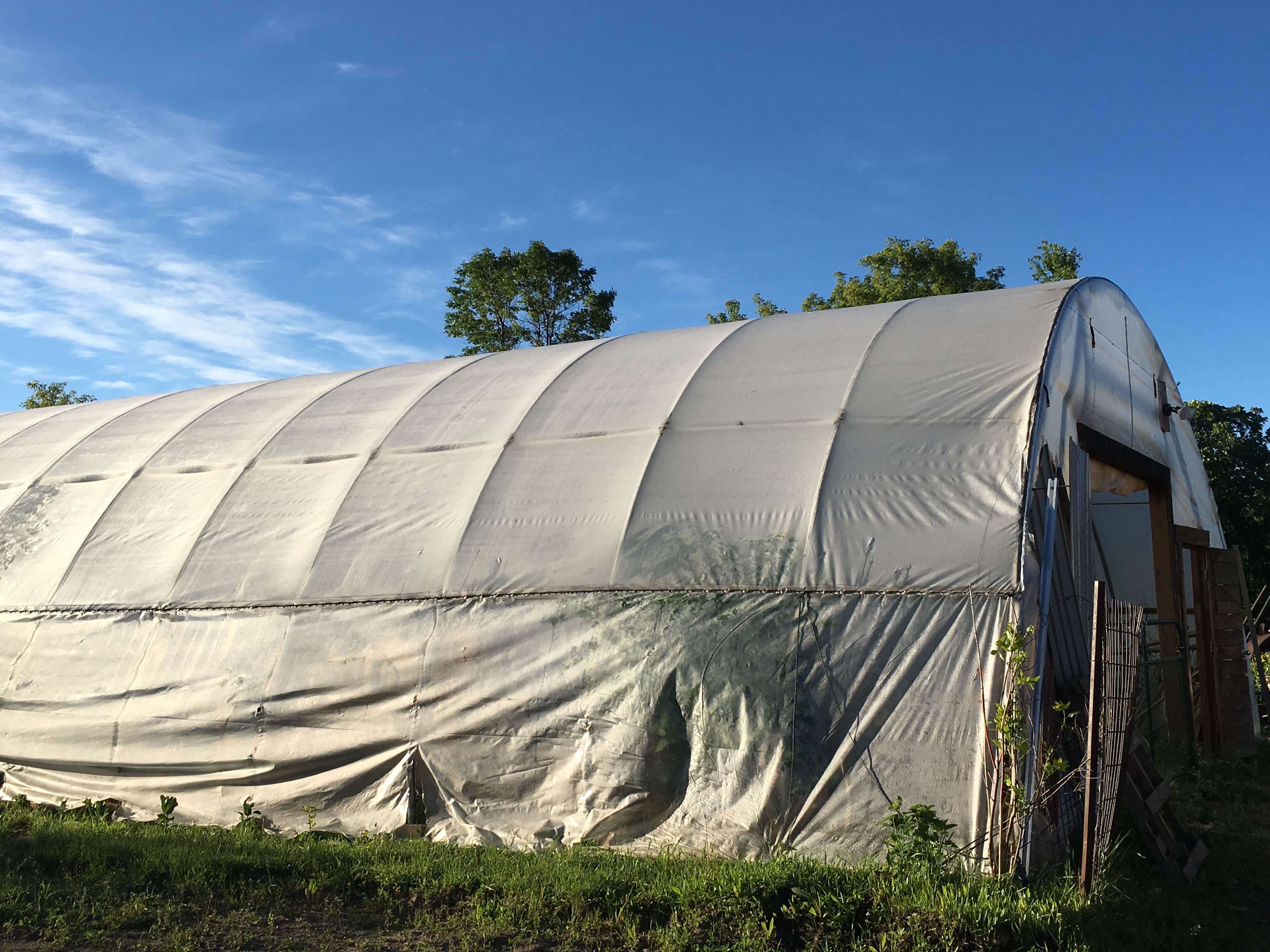 Janet R.'s photo at Creekwood Acres near Dassel, MN