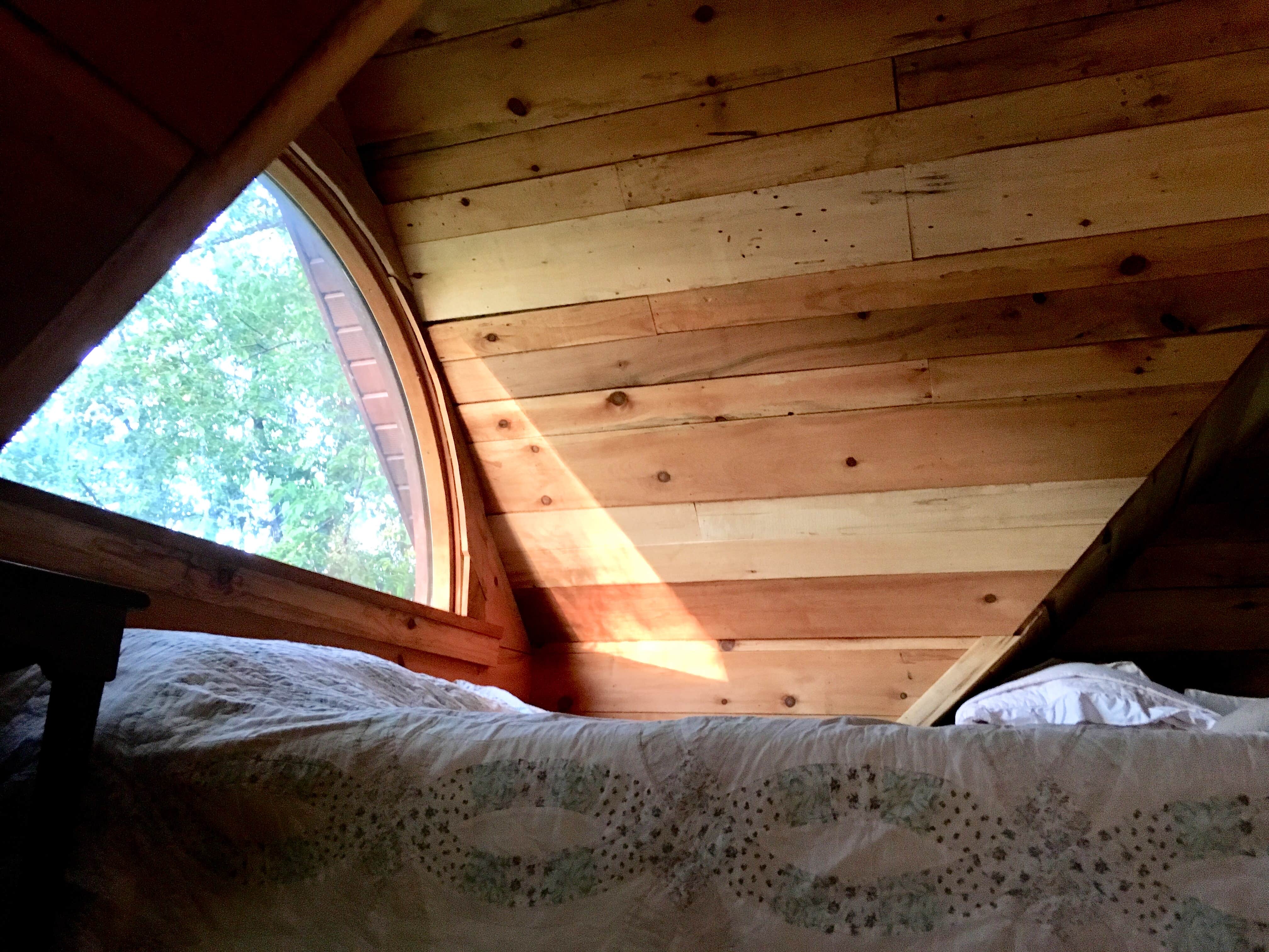 Camper-submitted photo at Creekwood Acres near Albany, MN