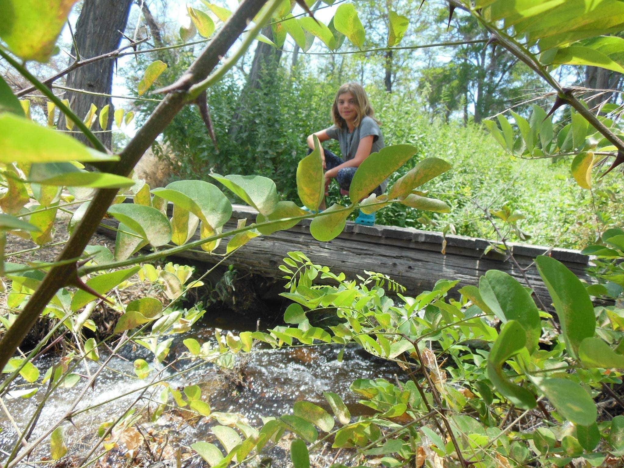 Camper-submitted photo at Baker Creek Campground near Big Pine, CA