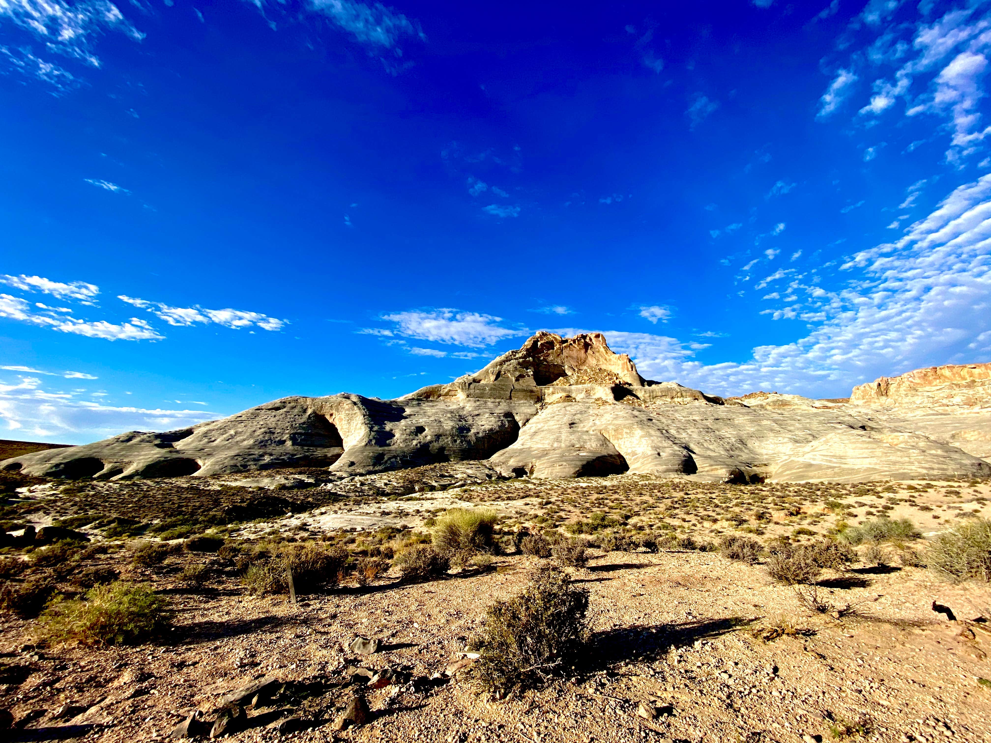 Camper submitted image from Corral Dispersed — Glen Canyon National Recreation Area - 2