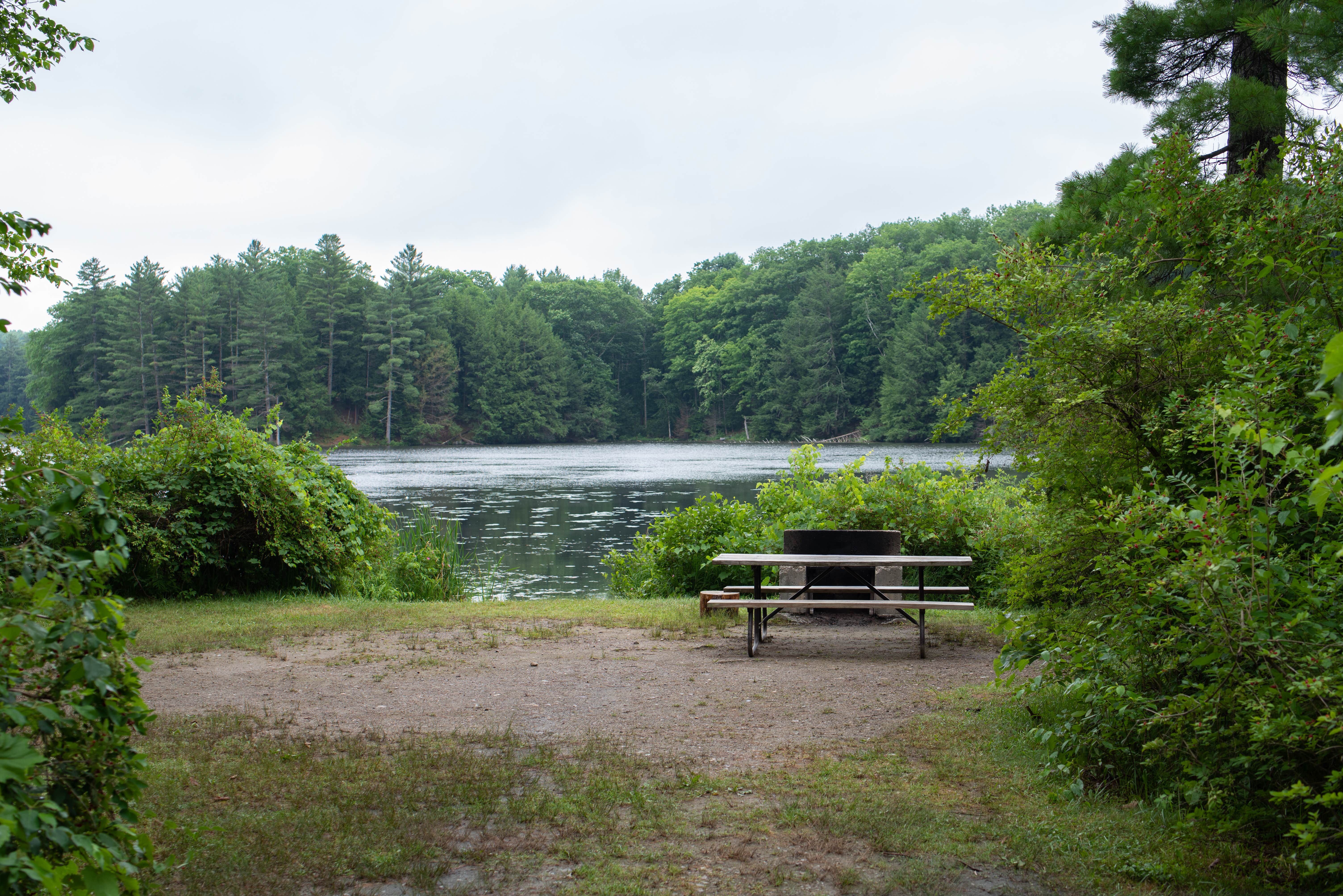 Camper-submitted photo at Half Moon Pond State Park Campground near Killington, VT