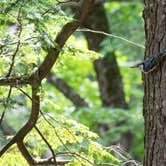 Review photo of Half Moon Pond State Park Campground by Tara S., September 9, 2020