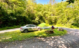 Dare To Everywhere  .'s photo of a dispersed camping area at Stonecoal Dispersed Camping Area near Marlinton, WV