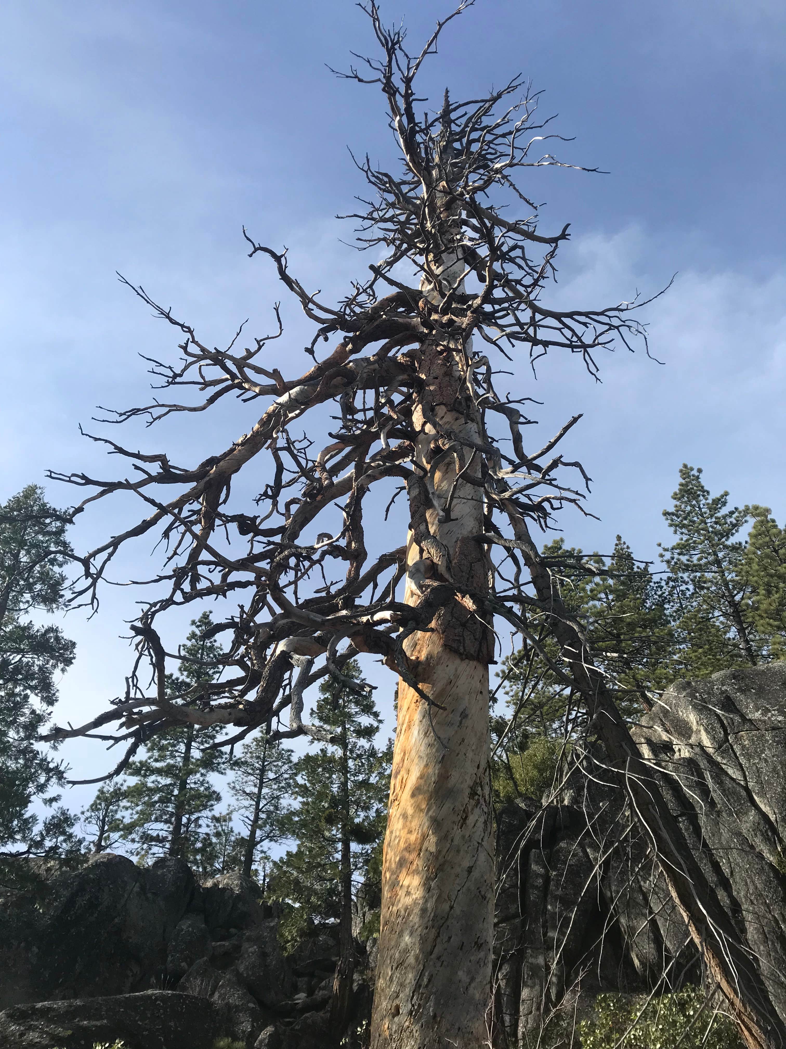 Camper-submitted photo at Grover Hot Springs State Park Campground near Gardnerville, NV