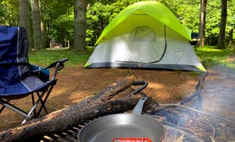 Camping near Conaway Run State Lake: Kinderhook Trailhead, Newport, Ohio