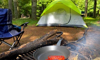 Camping near Ashland RV Park: Kinderhook Trailhead, Newport, Ohio