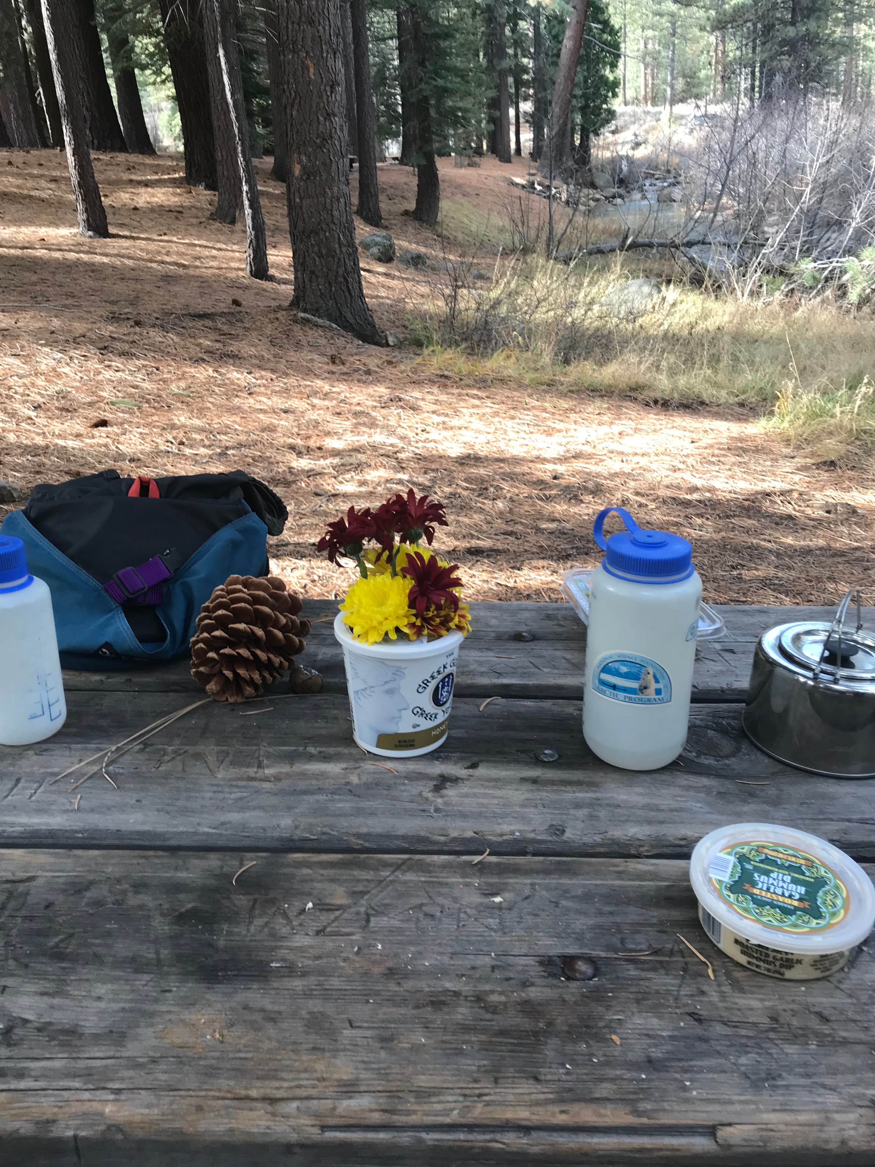 Camper-submitted photo at Grover Hot Springs State Park Campground near Gardnerville, NV