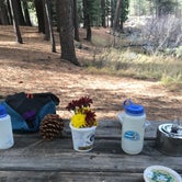 Review photo of Grover Hot Springs State Park Campground by Abbie H., May 16, 2018
