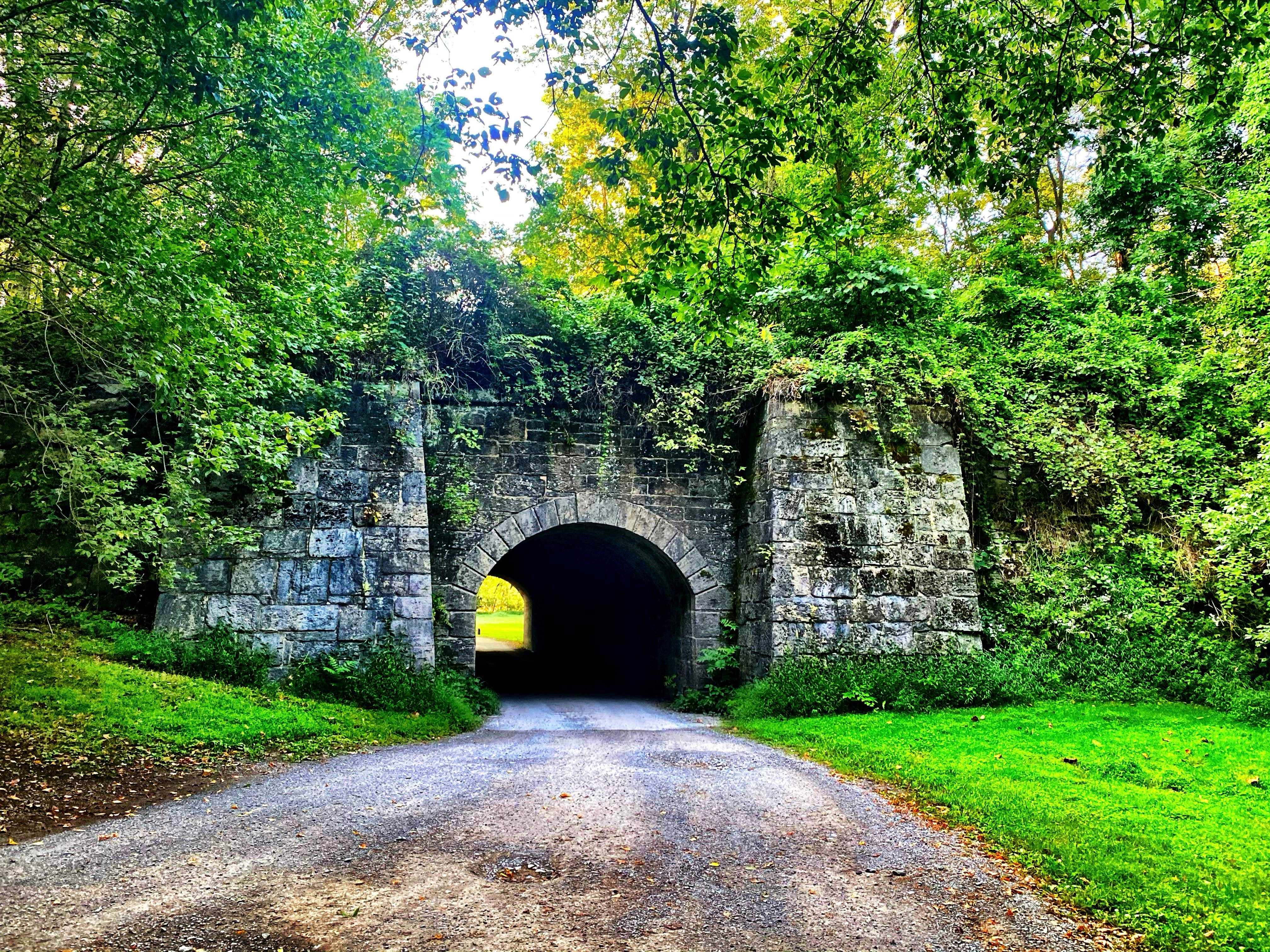 Camper submitted image from McCoys Ferry Campground — Chesapeake and Ohio Canal National Historical Park - 5