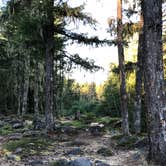 Review photo of McNeil Campground by Jeff K., September 9, 2020