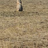 Review photo of Sage Creek Campground by Leslie E., September 9, 2020