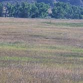 Review photo of Sage Creek Campground by Leslie E., September 9, 2020