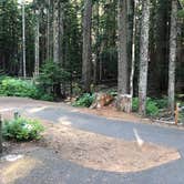 Review photo of Lost Lake Resort And Campground — Mt. Hood National Forest by Jeff K., September 9, 2020