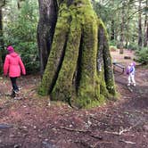 Review photo of Beverly Beach State Park Campground by Jeff K., September 9, 2020