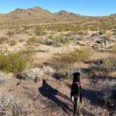 Review photo of Old Kingman Highway Dispersed Camping near Bullhead City by marycatmathis  .., September 9, 2020