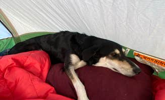 marycatmathis  ..'s photo at Old Kingman Highway Dispersed Camping near Bullhead City near Mohave Valley, AZ